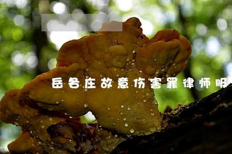 岳各庄故意伤害罪律师服务 岳各庄故意伤害罪律师服务