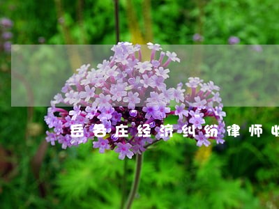 岳各庄经济纠纷律师收费标准 岳各庄经济纠纷律师收费标准