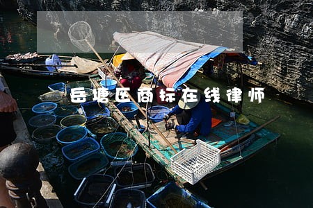 岳塘区商标在线律师 岳塘区商标在线律师
