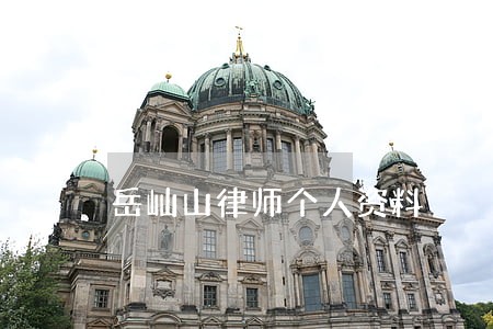 岳屾山律师个人资料 岳屾山律师个人资料