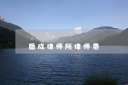 岳成律师所律师费 岳成律师所律师费
