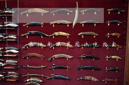 岳池南溪花园法院拍卖 岳池南溪花园法院拍卖
