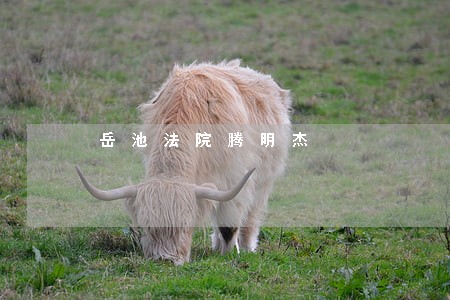 岳池法院腾明杰