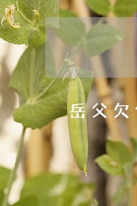 岳父欠信用卡逾期 岳父欠信用卡逾期