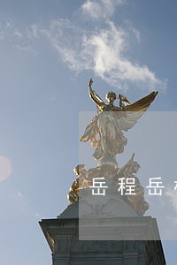 岳程岳楼社区被违法征地