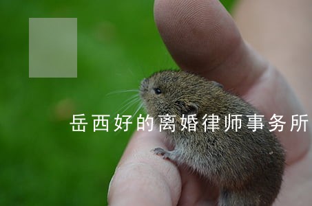 岳西好的离婚律师事务所