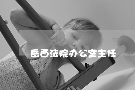 岳西法院办公室主任 岳西法院办公室主任