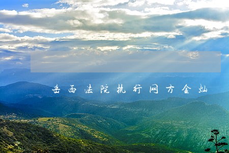 岳西法院执行网方金灿 岳西法院执行网方金灿