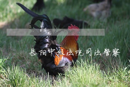 岳阳中级法院司法警察
