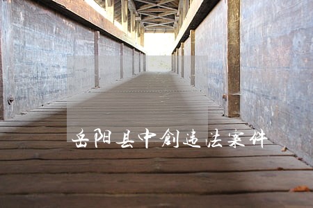 岳阳县中创违法案件 岳阳县中创违法案件