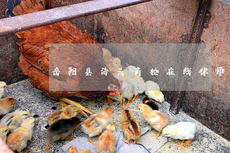 岳阳县海关商检在线律师 岳阳县海关商检在线律师