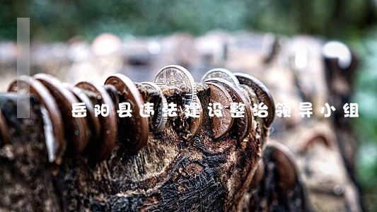 岳阳县违法建设整治领导小组 岳阳县违法建设整治领导小组