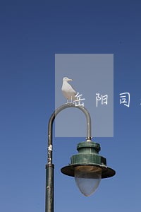 岳阳司法拍卖岳州帝菀
