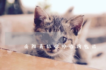 岳阳商标律师咨询电话 岳阳商标律师咨询电话