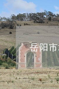 岳阳市君山法院寻衅滋事案 岳阳市君山法院寻衅滋事案