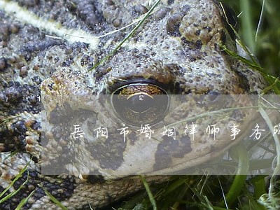 岳阳市婚姻律师事务所 岳阳市婚姻律师事务所