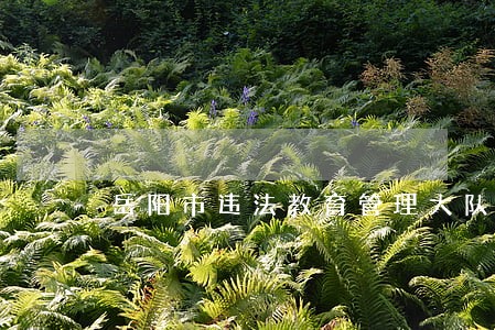 岳阳市违法教育管理大队 岳阳市违法教育管理大队