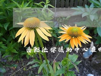 岳阳法律援助中心在哪里 岳阳法律援助中心在哪里