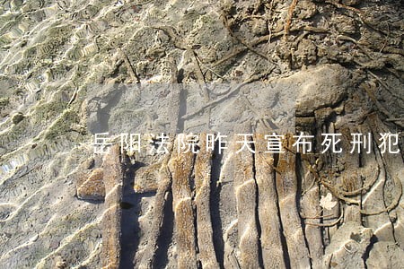 岳阳法院昨天宣布死刑犯 岳阳法院昨天宣布死刑犯
