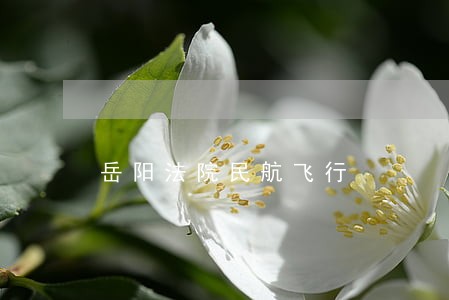 岳阳法院民航飞行 岳阳法院民航飞行