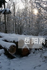 岳阳离婚律师协议 岳阳离婚律师协议
