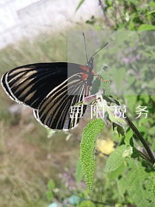 岳阳税务法律咨询热线 岳阳税务法律咨询热线