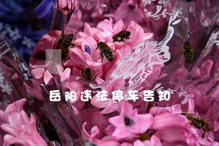 岳阳违法停车告知