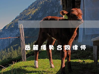 岳麓债务合同律师 岳麓债务合同律师