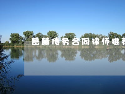 岳麓债务合同律师推荐 岳麓债务合同律师推荐