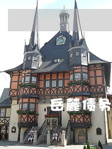 岳麓债务律师咨询 岳麓债务律师咨询