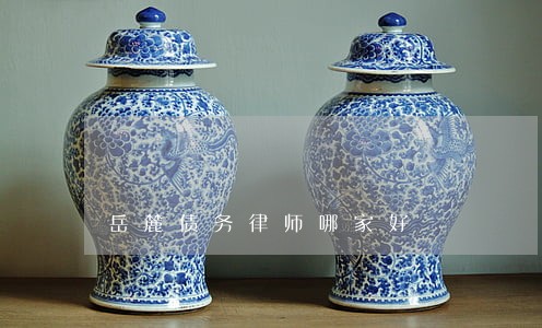 岳麓债务律师哪家好 岳麓债务律师哪家好