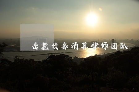 岳麓债务清算律师团队 岳麓债务清算律师团队