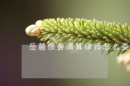 岳麓债务清算律师怎么委托 岳麓债务清算律师怎么委托