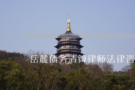 岳麓债务清算律师法律咨询 岳麓债务清算律师法律咨询