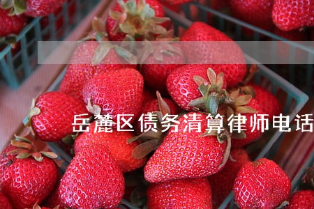 岳麓区债务清算律师电话咨询 岳麓区债务清算律师电话咨询
