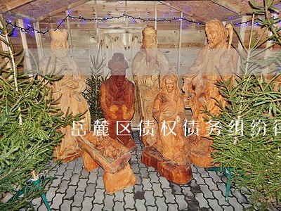 岳麓区债权债务纠纷律师 岳麓区债权债务纠纷律师