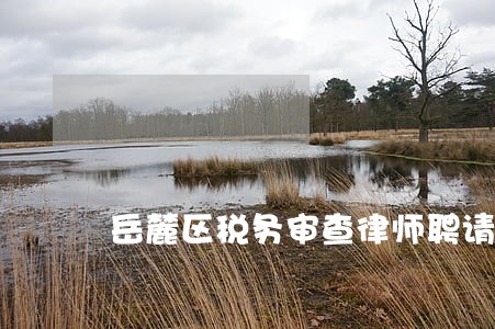 岳麓区税务审查律师聘请流程 岳麓区税务审查律师聘请流程