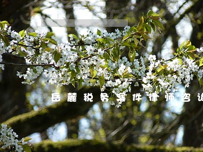 岳麓税务案件律师咨询