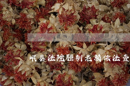 岷县法院强制老赖依法查询 岷县法院强制老赖依法查询