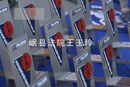 岷县法院王玉玲