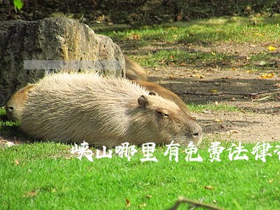 峡山哪里有免费法律咨询 峡山哪里有免费法律咨询