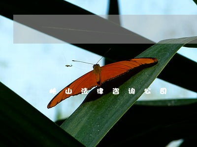 峡山法律咨询公司 峡山法律咨询公司