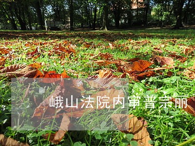 峨山法院内审普宗丽 峨山法院内审普宗丽