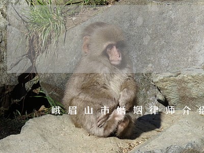 峨眉山市婚姻律师介绍 峨眉山市婚姻律师介绍