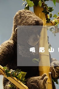 峨眉山市法院拍卖京东 峨眉山市法院拍卖京东