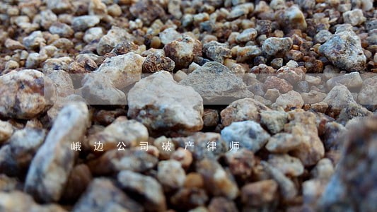 峨边公司破产律师 峨边公司破产律师