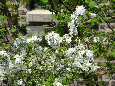 峰向标理财有逾期吗 峰向标理财有逾期吗