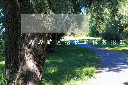 峰峰矿区擅长的税务犯罪律师 峰峰矿区擅长的税务犯罪律师