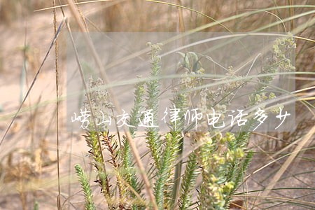 崂山交通律师电话多少 崂山交通律师电话多少