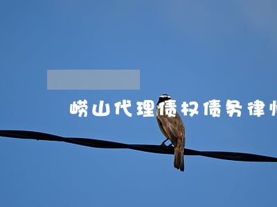 崂山代理债权债务律师多少钱
